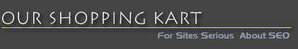 Our Shopping Kart - For Sites Serious About SEO